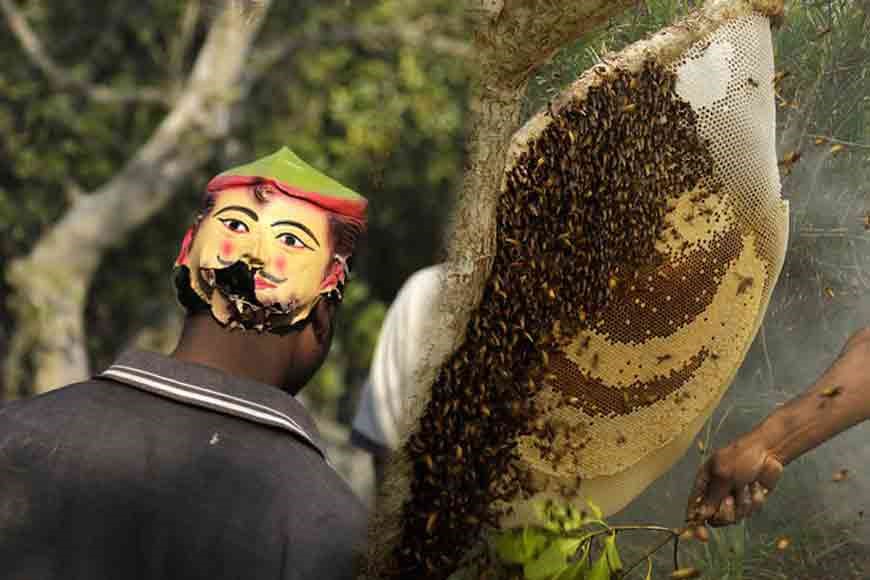 Sundarban Honey A Potion Concocted Miles Away From the Suffocating Chemicals of the City