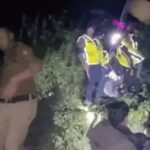 कैंची धाम जाते वक़्त रोहतक के युवक समेत 2 की मौत: लौटते समय ट्रेवलर खाई में गिरी, 15 घायल